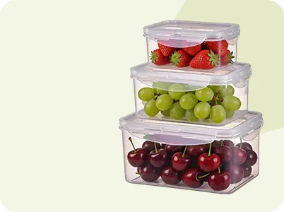 Plastic Food Storage Container