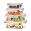 Glass Food Storage BoxJM-324-327